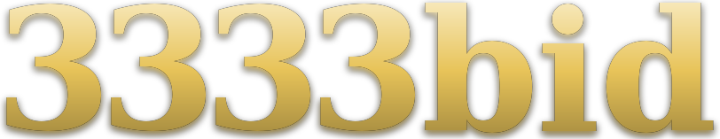 3333bid logo